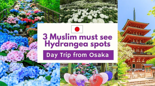 Muslim Day Trips from Osaka: Explore 3 Hydrangea Itineraries