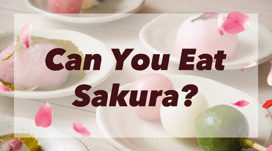 Taste of SpringーCan You Eat Sakura?