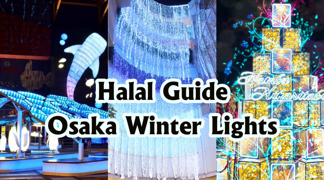 Latest Muslim Tourist Information