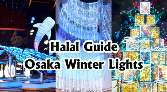 Latest Muslim Tourist Information