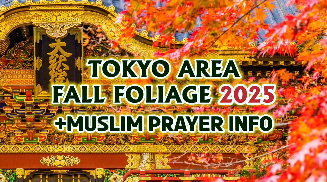 Latest Muslim Tourist Information