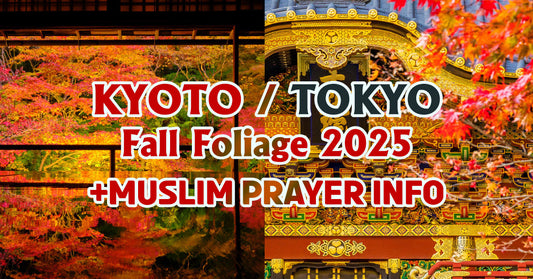 Latest Muslim Tourist Information