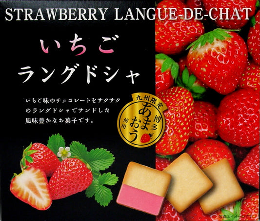 Strawberry Chocolate Cookies