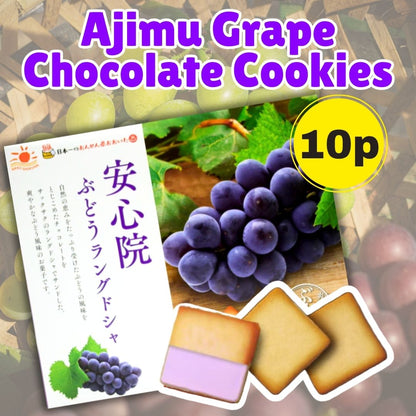 February: Monthly Discovery Set