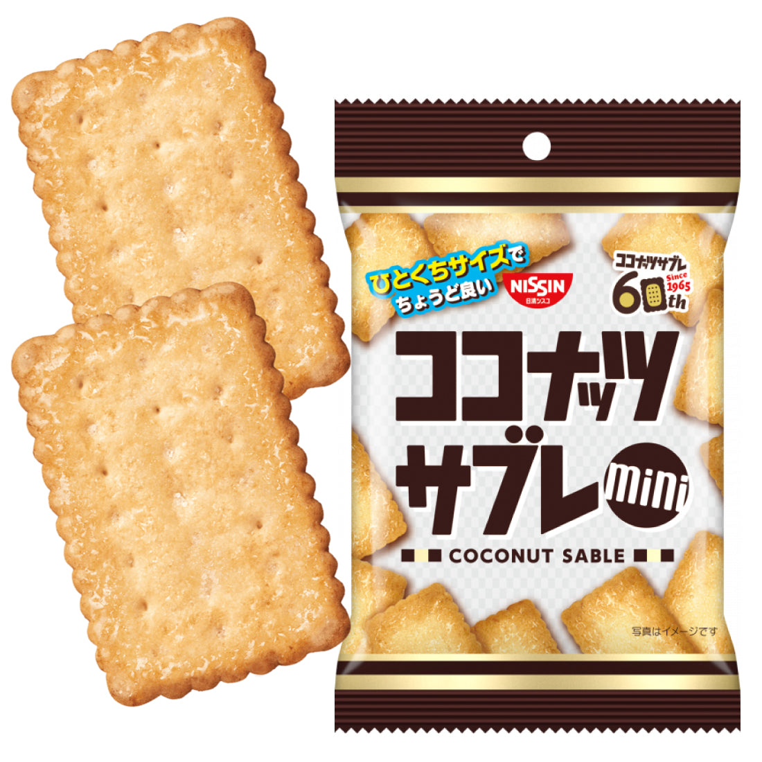 Coconut Sable Cookie