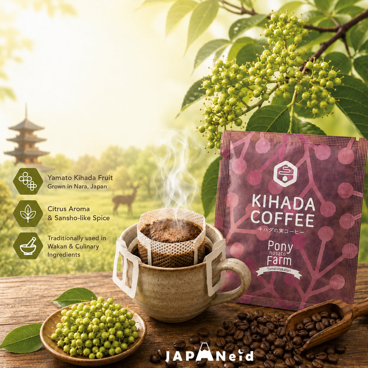 Specialty Craft Coffee (Yamato Kihada Fruit)