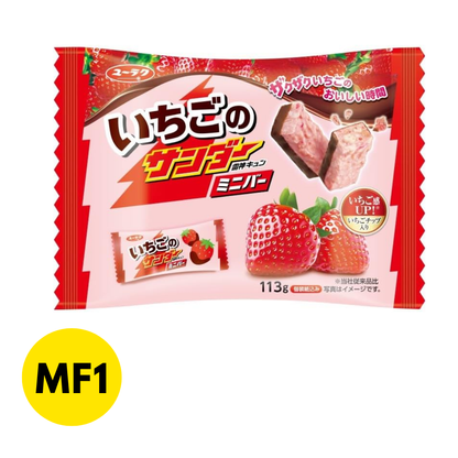 Chocolate Crunch Bar (Strawberry)